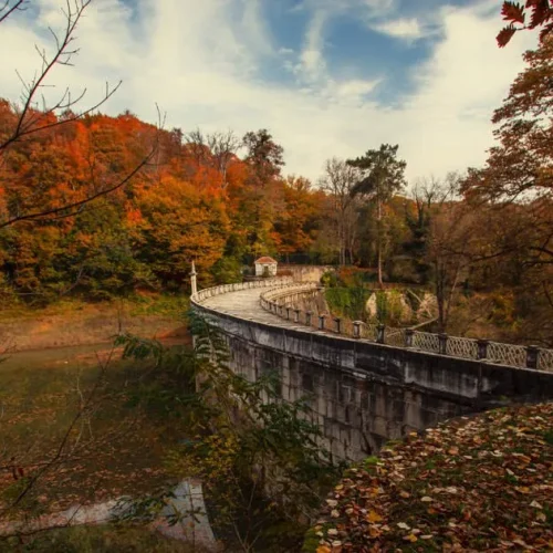 Belgrad-Forest-in-Istanbul